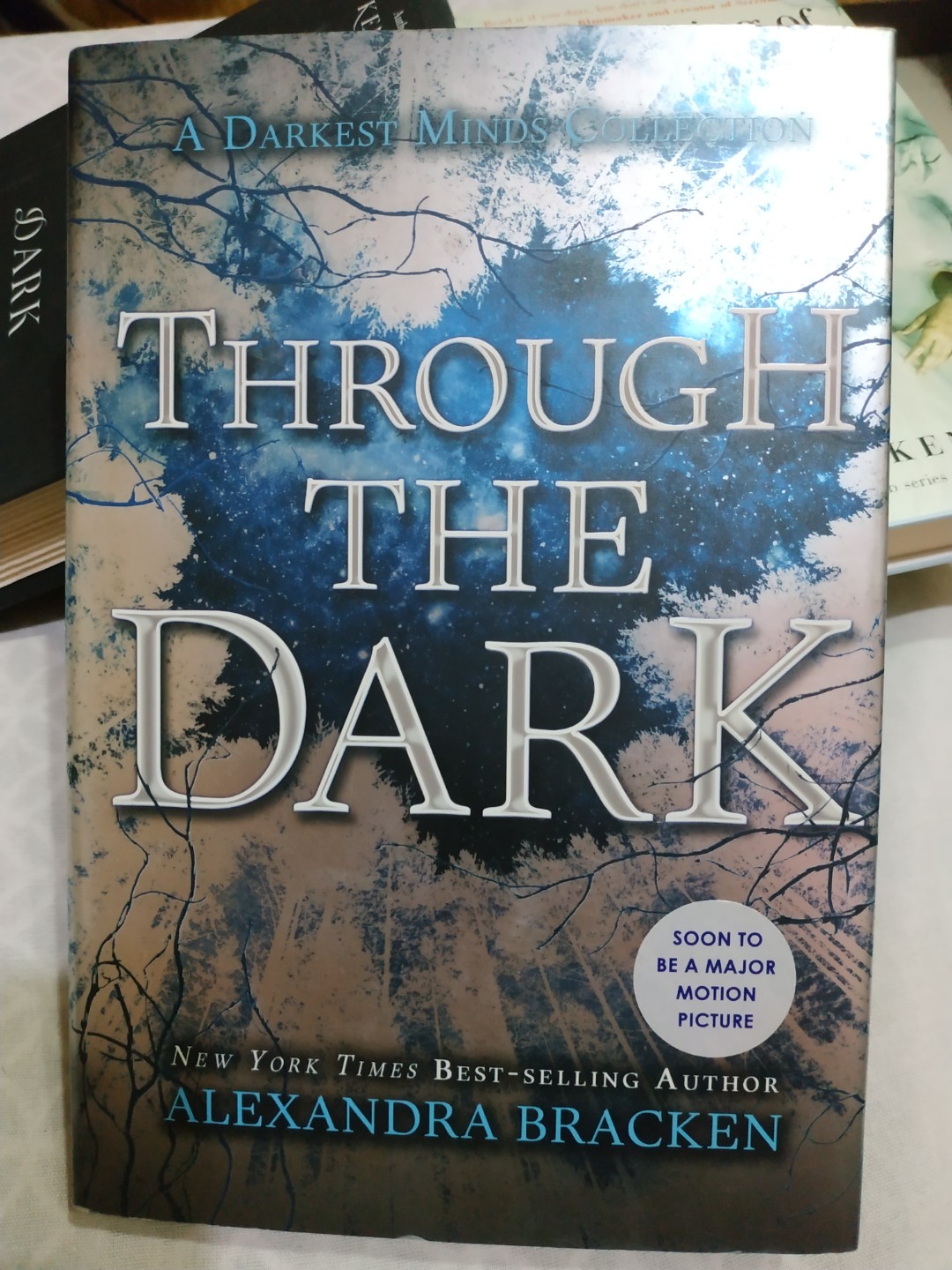 Through The Dark By Alexandra Bracken Books Books On Carousell