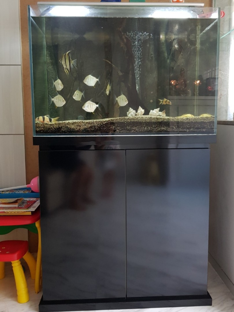 3ft fish tank stand