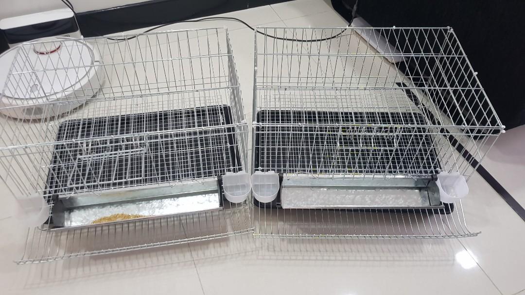 Quail Cage Bird Chicken Pet Supplies For Birds Cages On Carousell