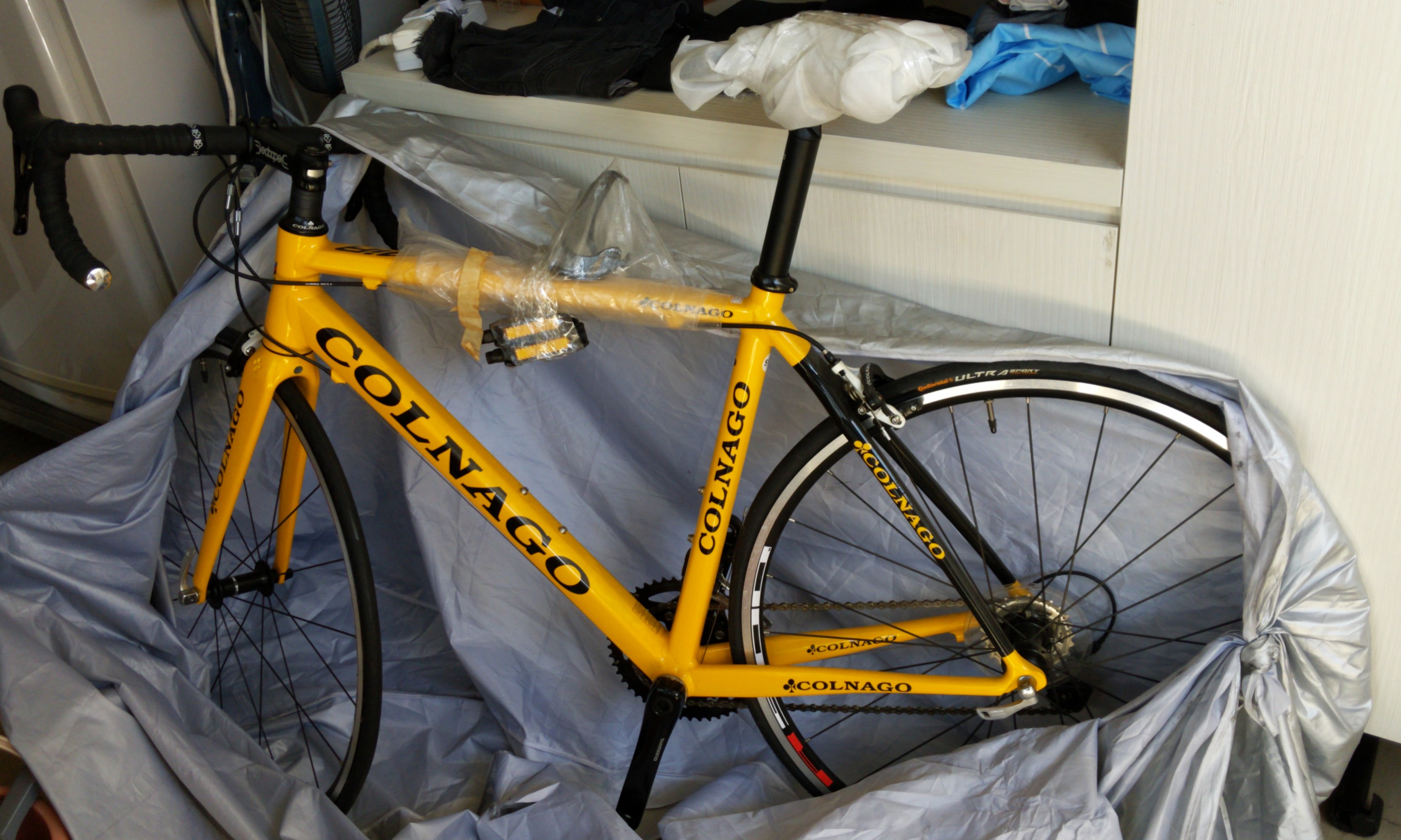 Colnago outlet outlet
