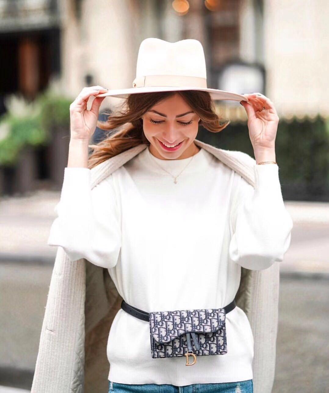 dior oblique saddle belt bag price