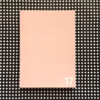 SEVENTEEN Official 2017 Diary Planner