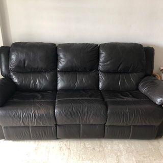 Full Leather Sofa Furniture Carou Singapore Beloved Leather Sofa
