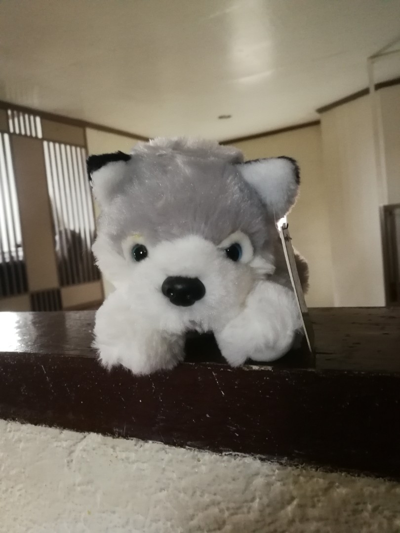 blue magic dog stuffed toys price