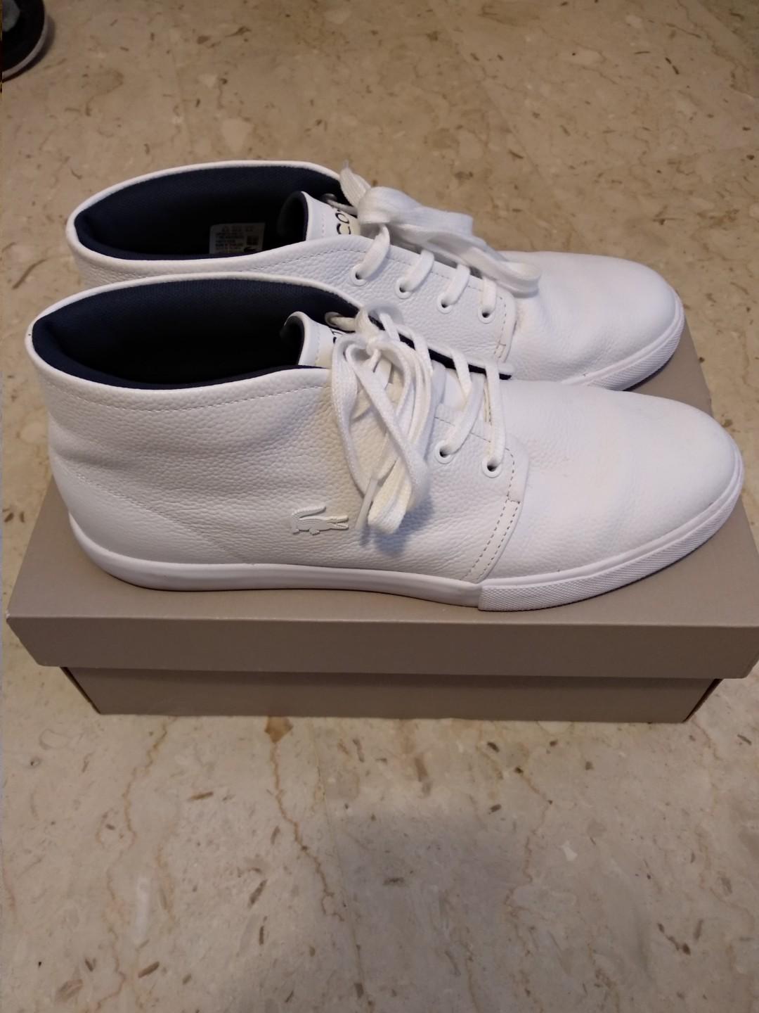 lacoste ortholite shoes price