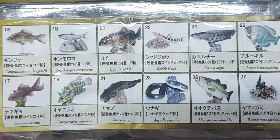 Yujin 原色淡水魚圖鑑ii彈 玩具 公仔在旋轉拍賣