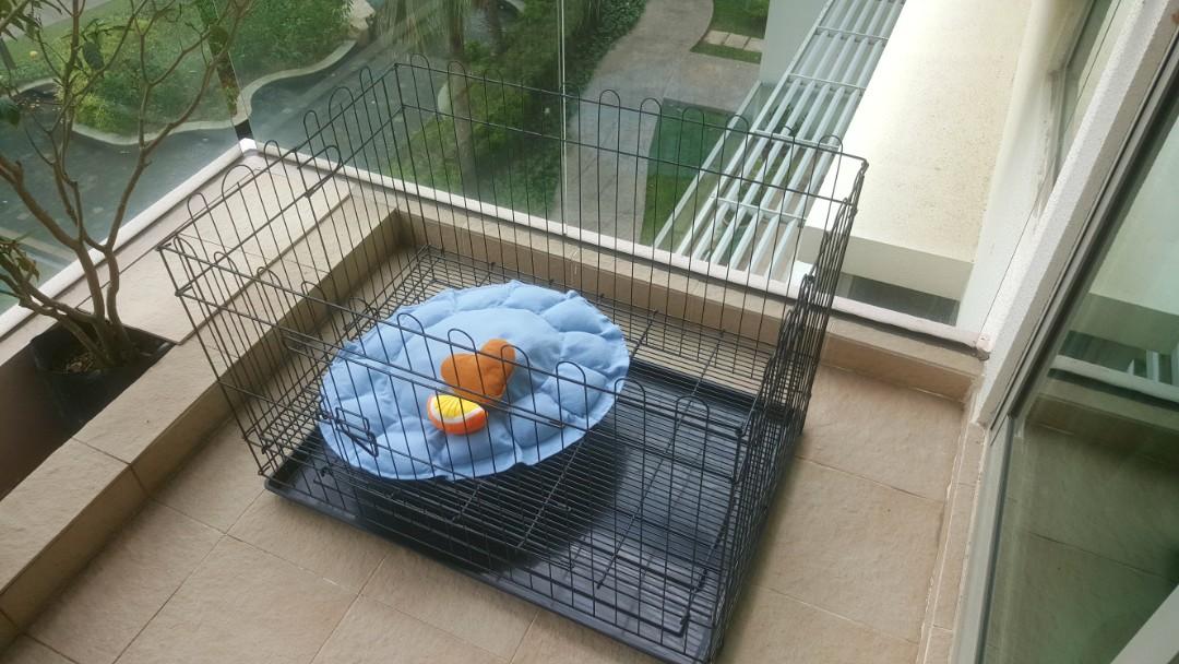 Dog Cage Tray Pet Supplies Homes Other Pet Accessories On Carousell dog-cage-tray-pet-supplies-homes-other-pet-accessories-on-carousell