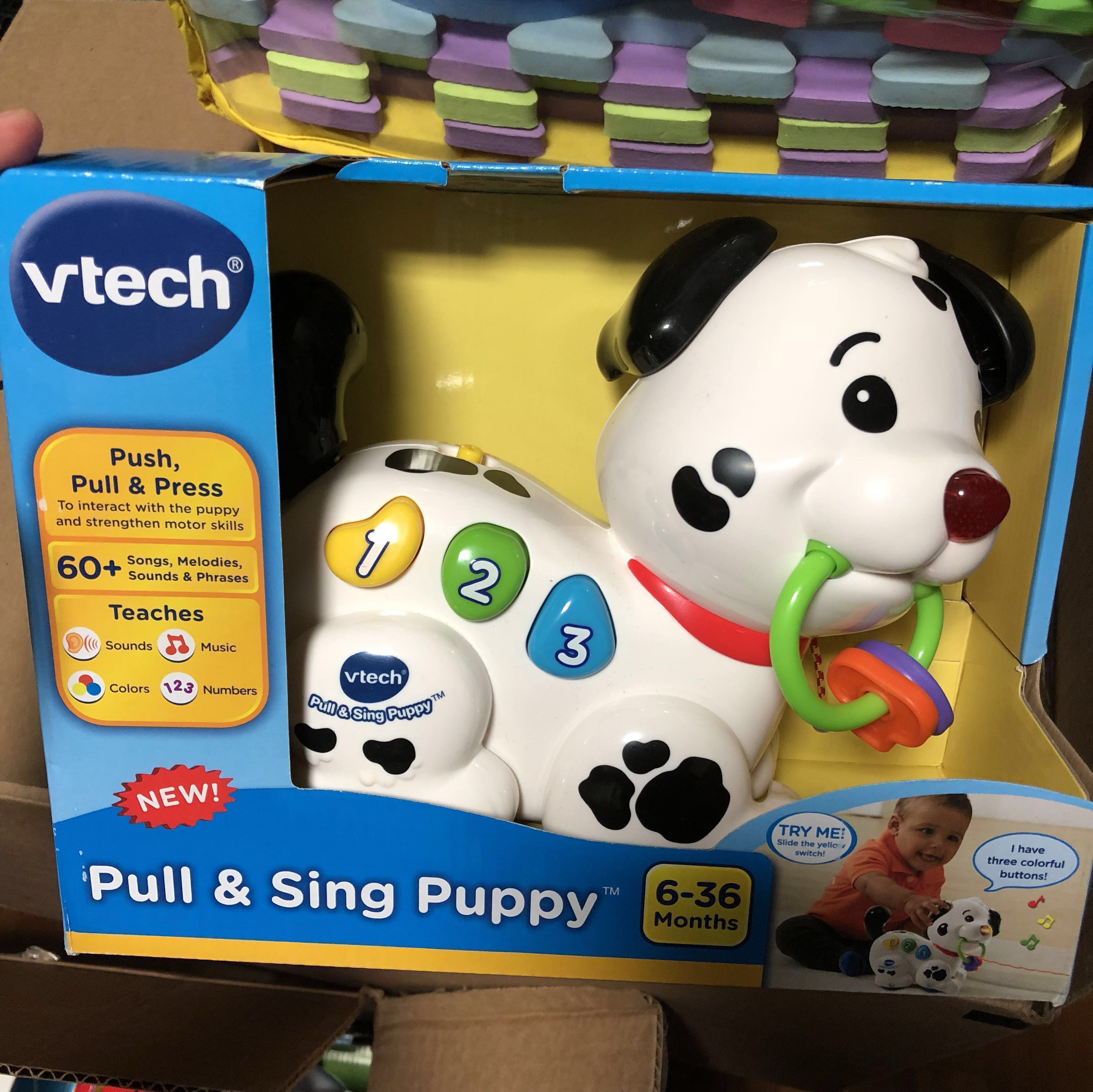 pull and sing puppy