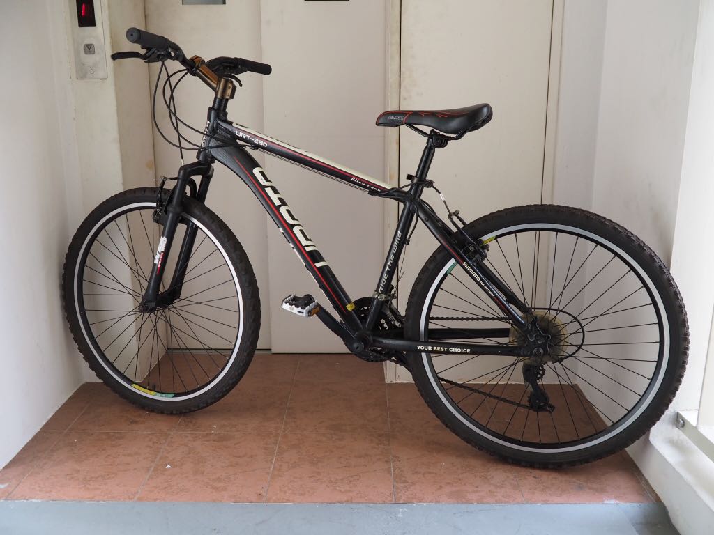 Urata Bicycle Review 2024 www.alhudapk