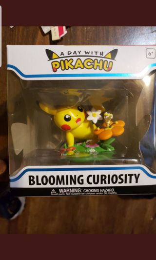 day with pikachu blooming curiosity