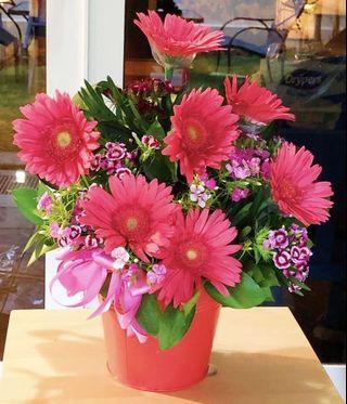 Flowers - Flowers in a Bucket