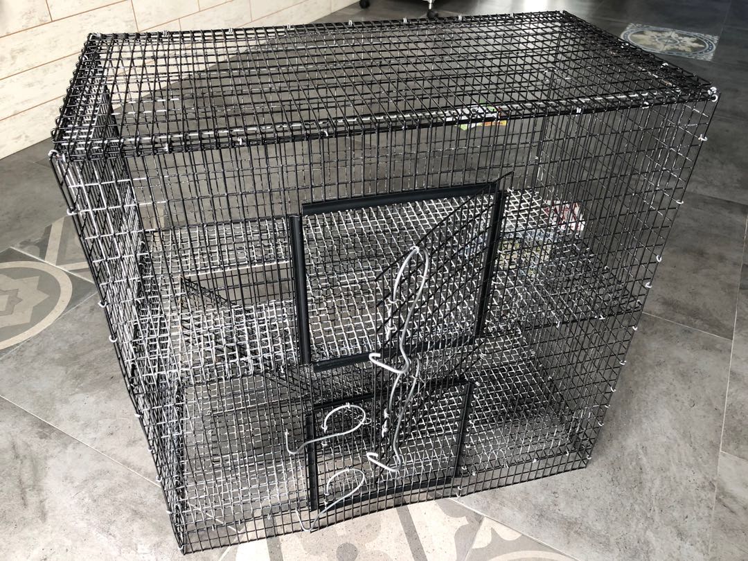 Martin's Cages TwoStory 20 Gallon Aquarium High Topper (Model RT625