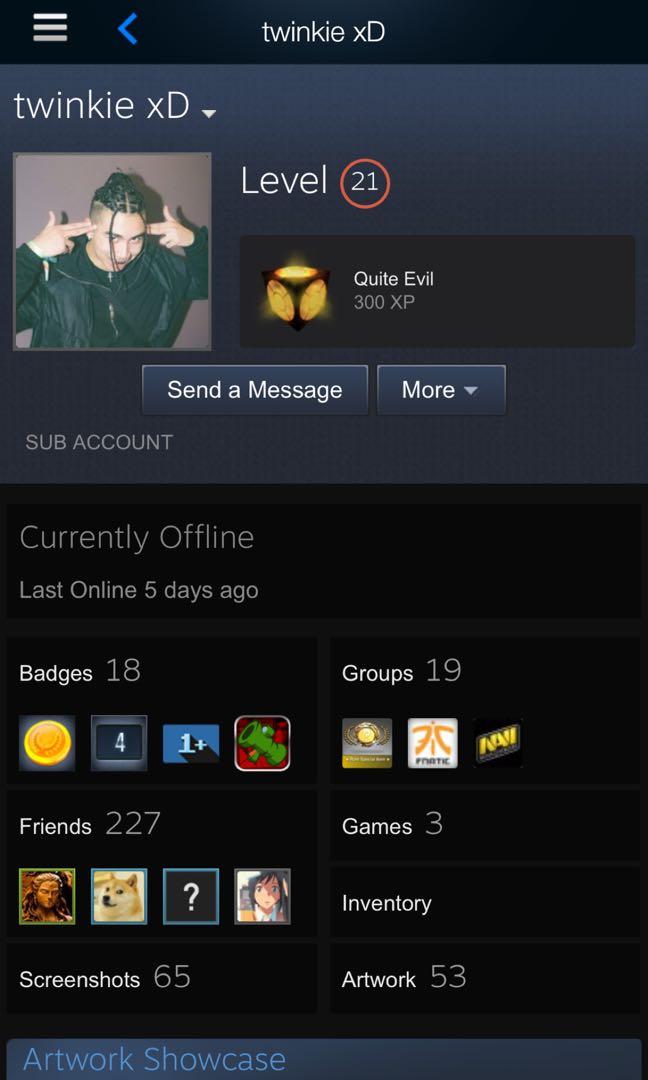 Selling Csgo Account Mg2 Steam Lvl 21 Video Gaming Others On Carousell Selling Csgo Account Mg2 Steam Lvl 21 Video Gaming Others On Carousell