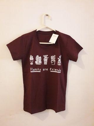 Kaos Maroon Plants