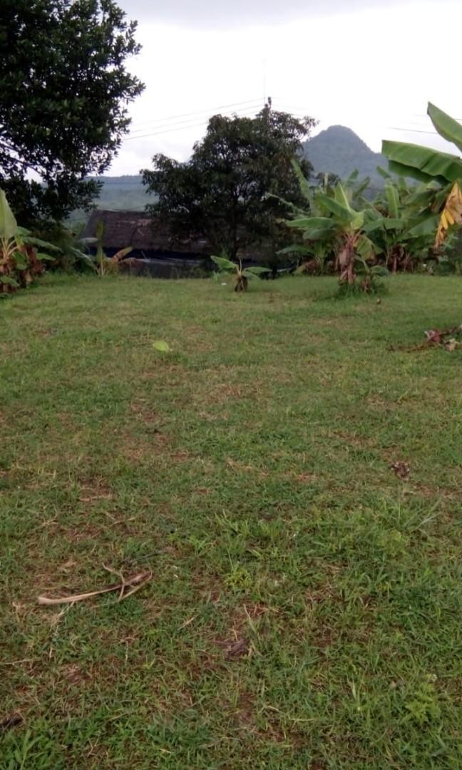 Dijual Tanah Strategis Lokasi Sadengkolot Leuwiliang Bogor Properti Dijual Di Carousell
