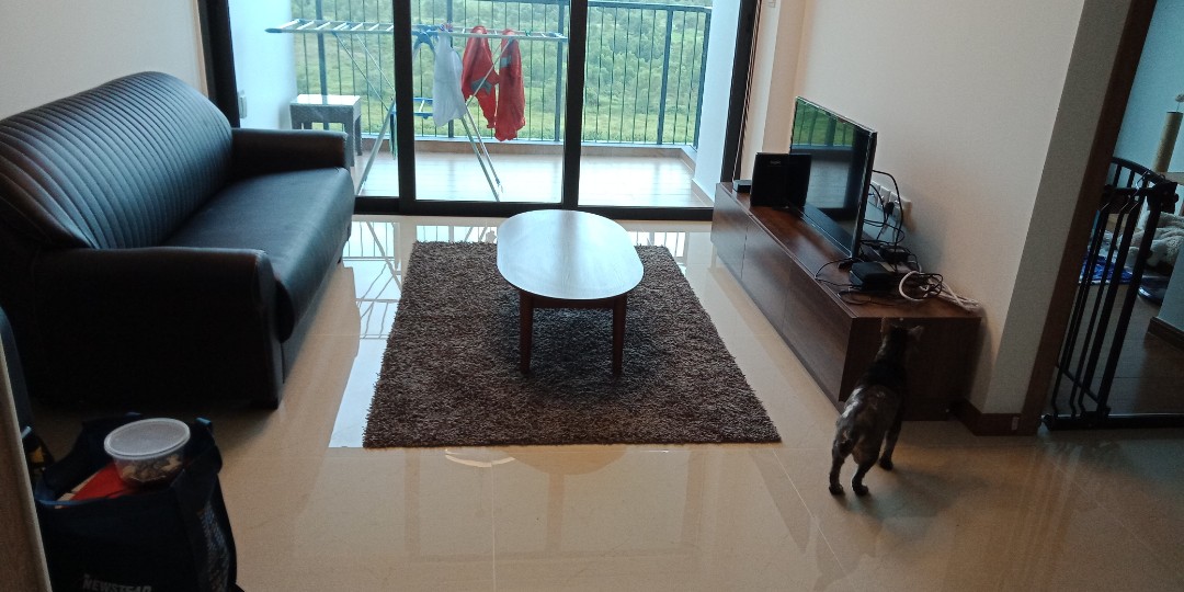 Ikea Rug Langsted 133 X195cm Furniture Others On Carousell