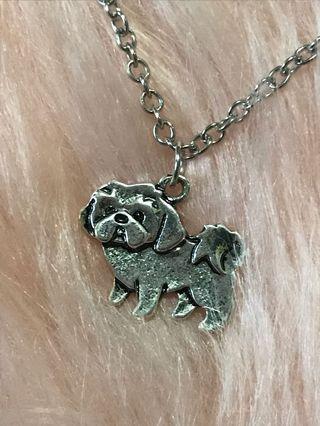 preloved tibetan spaniel