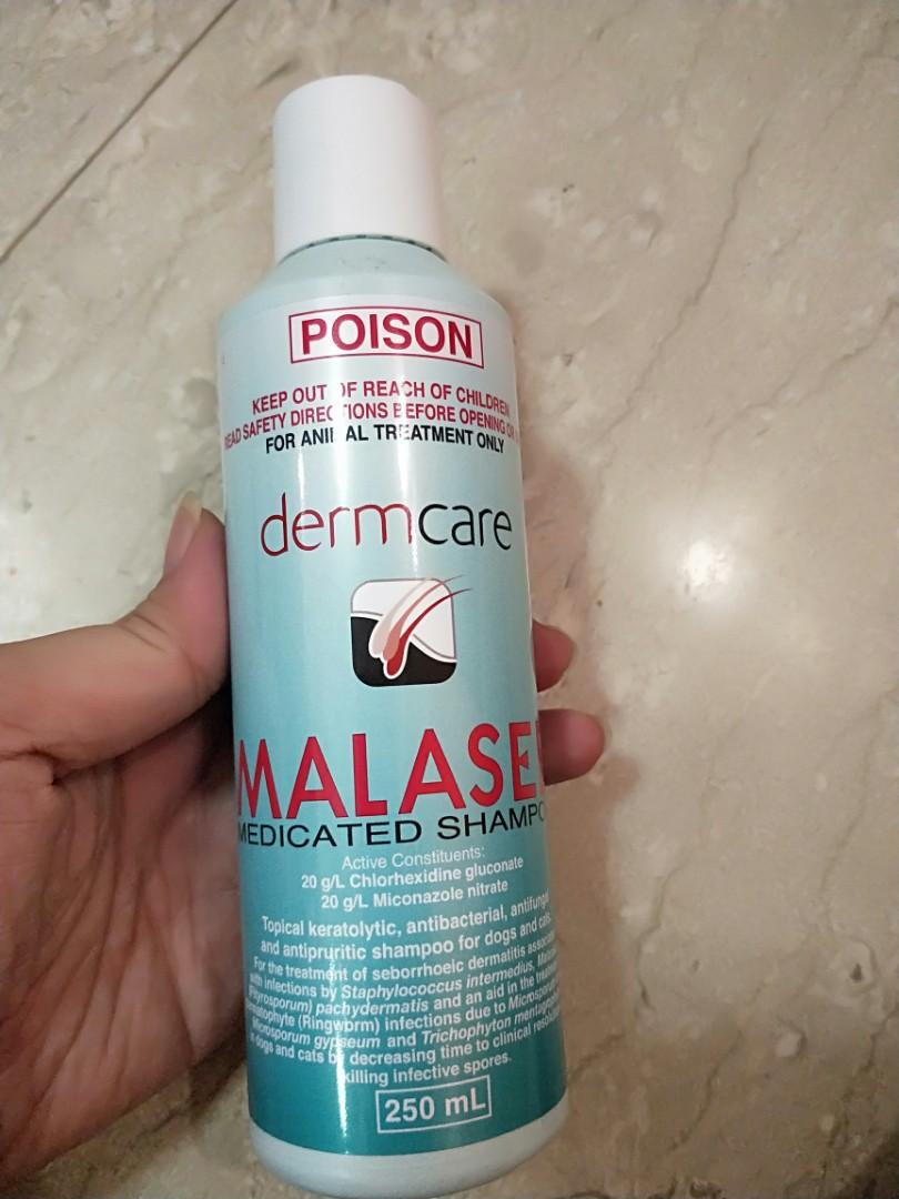 malaseb shampoo guinea pig