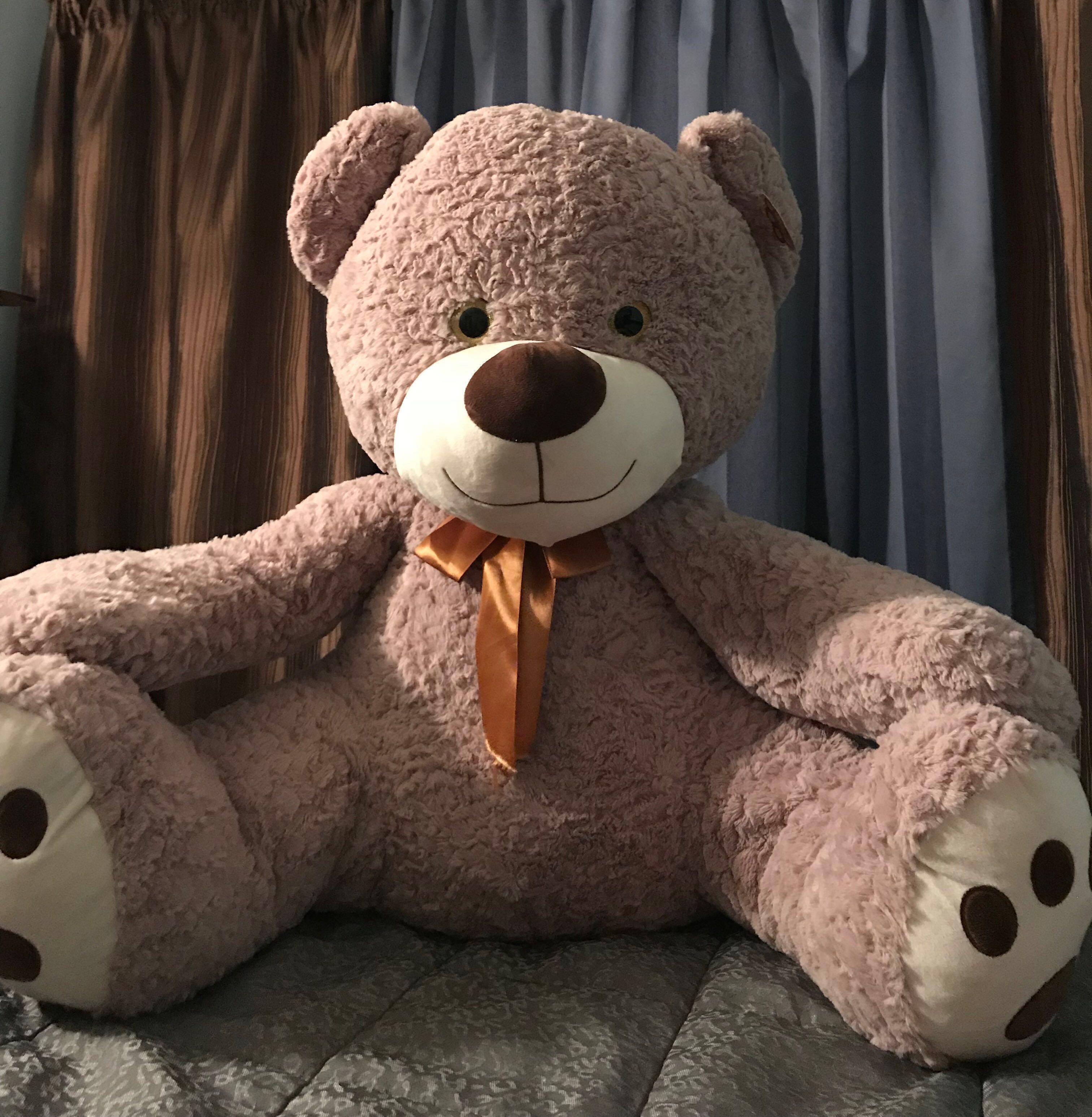teddy bear paws