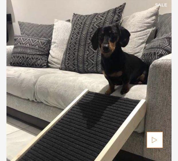 Dachramp sale