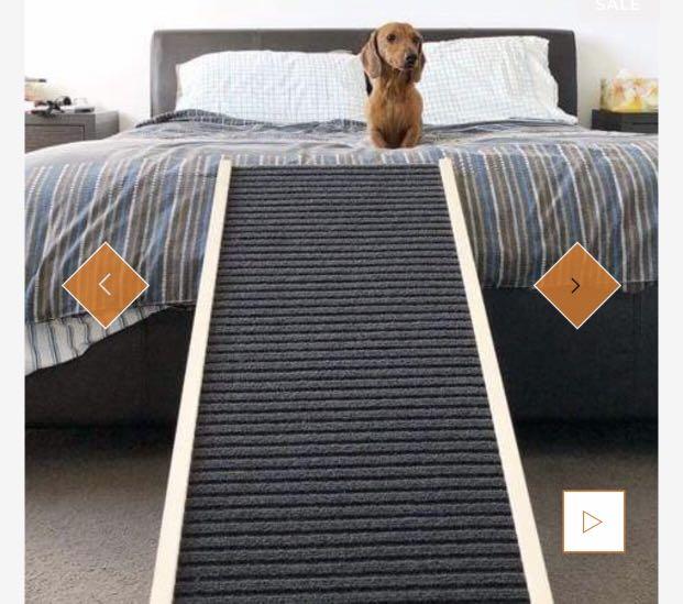 Dachramp online