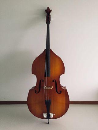 double bass / contrabass