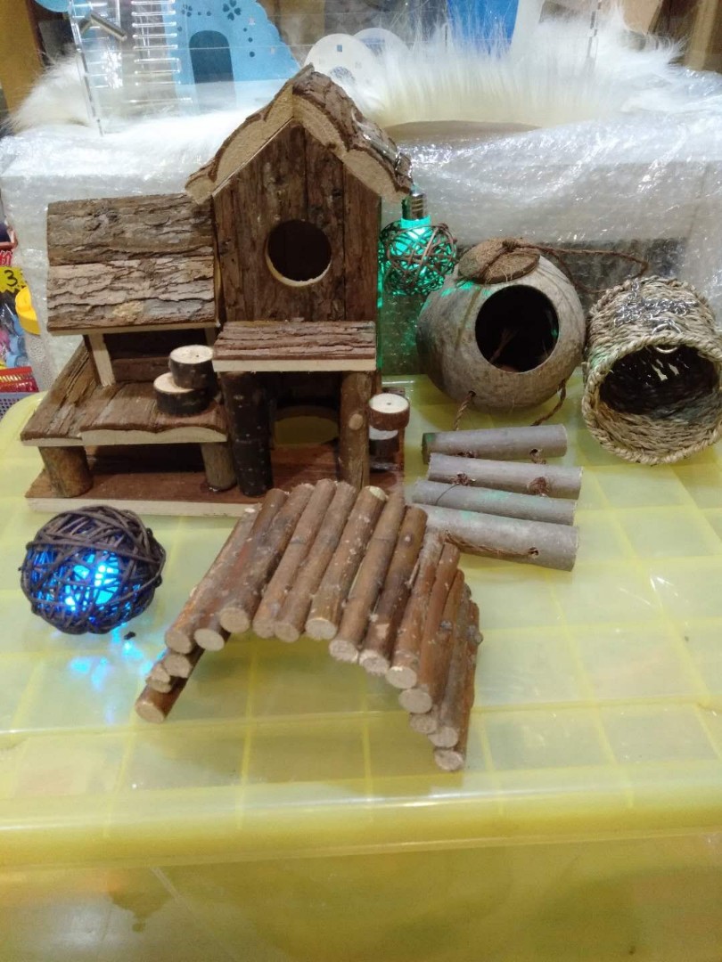 rainforest hamster cage