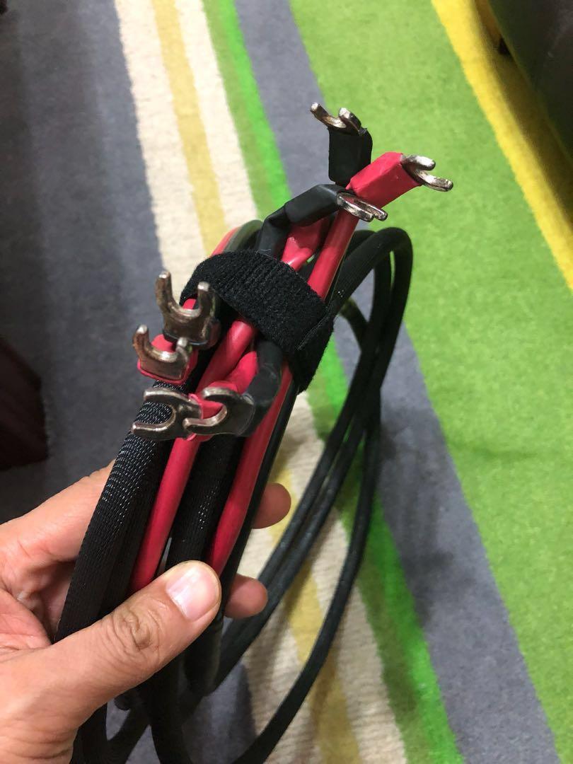 NBS DragonFly speaker cables, Audio, Other Audio Equipment on Carousell