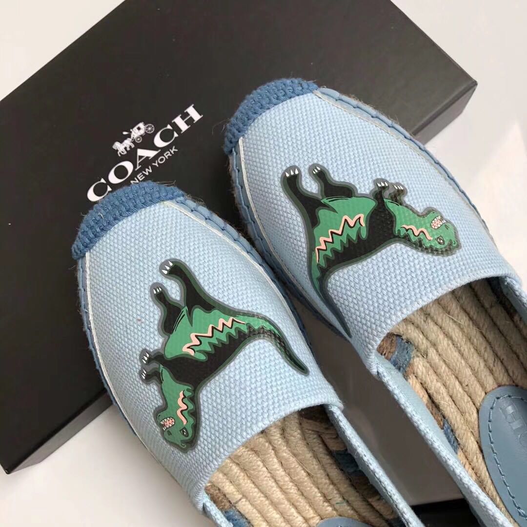 Coach shoes dinosaur Loafers Carousell