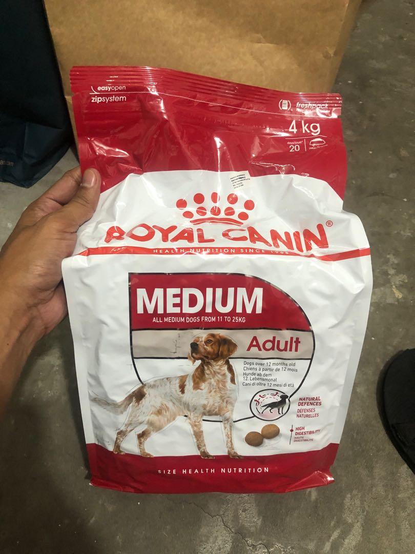 Royal Canin Dog Food Medium Adult 4kg Pets Supplies Pet Food On Carousell