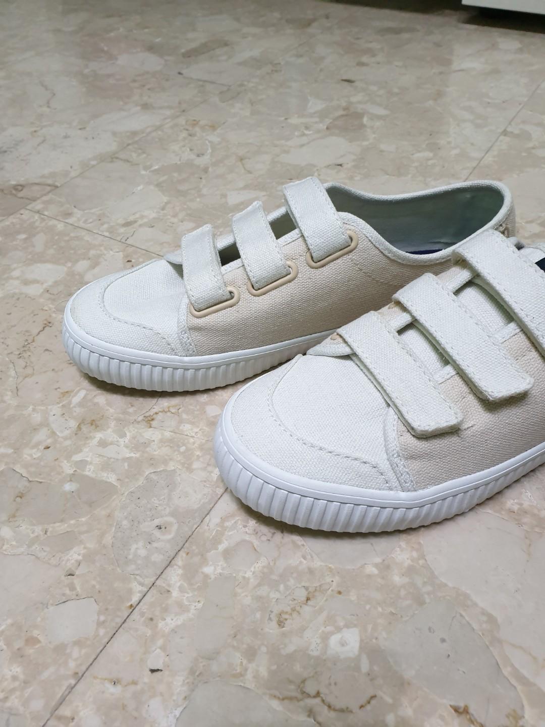 Sperry crest 2025 loop sneakers