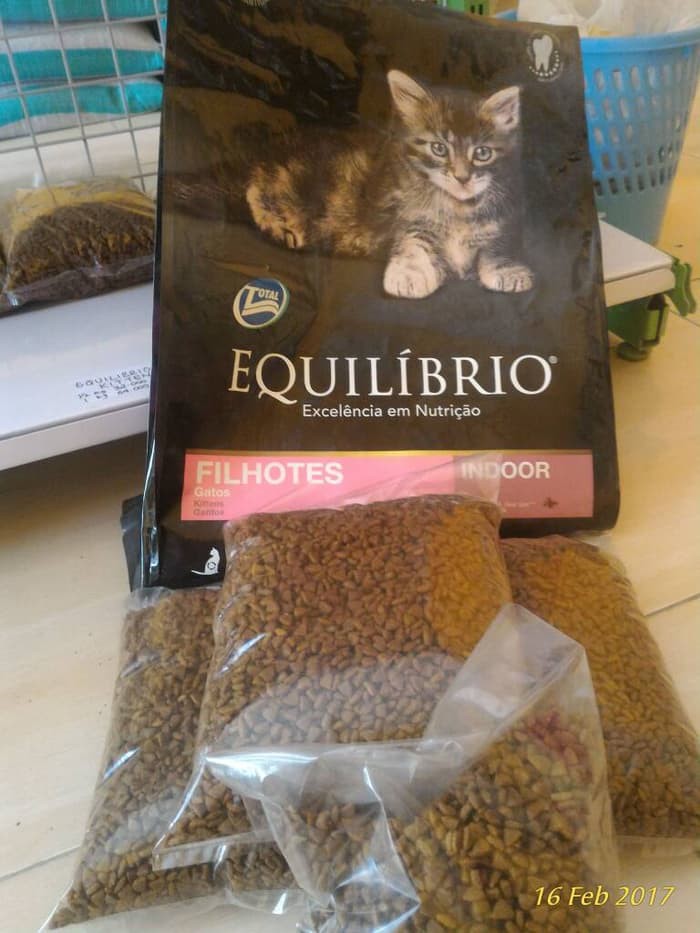 Equilibrio Kitten Food Pet Supplies Makanan Haiwan Kesayangan Di