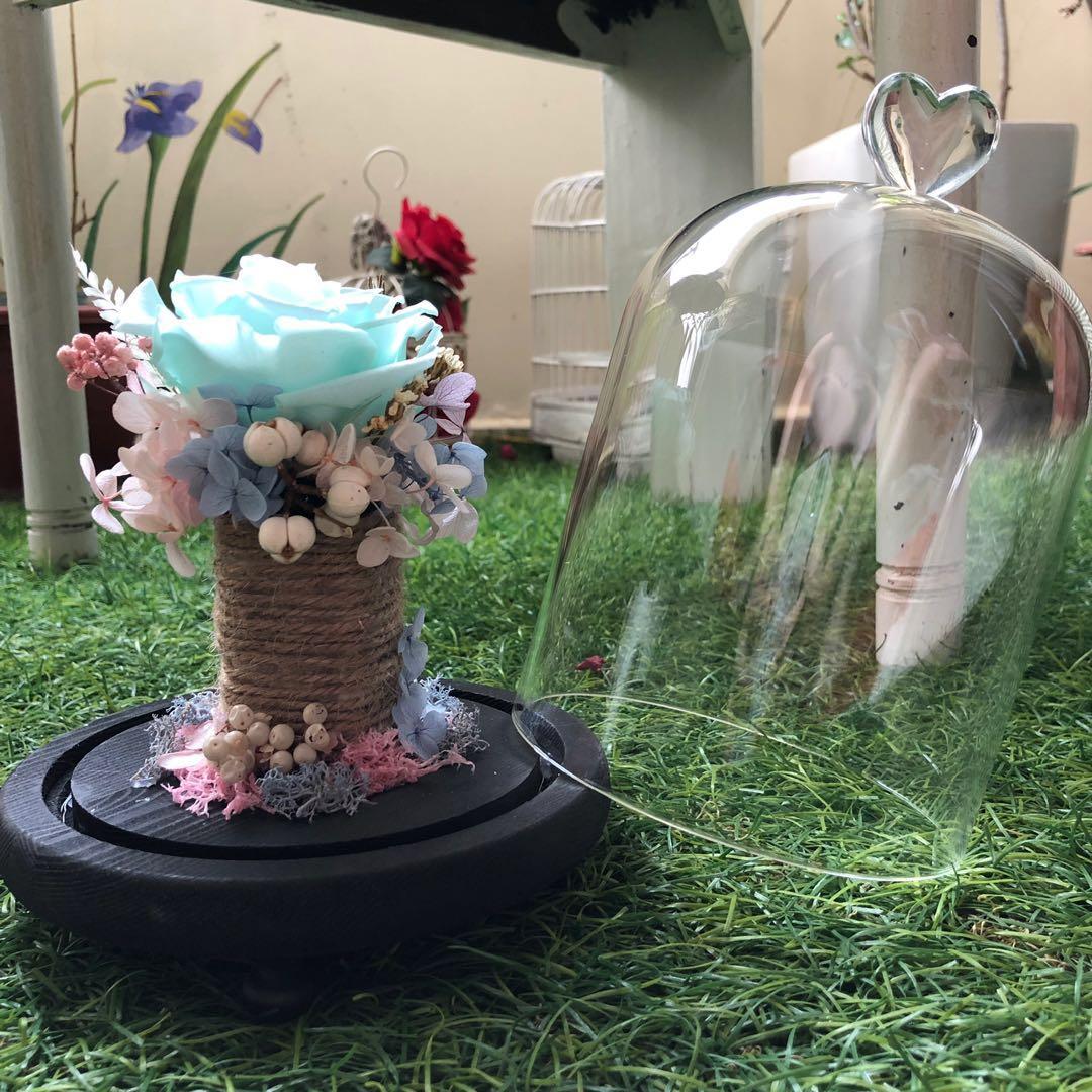 Preserved Rose Glass Dome With Led Light Tiffanyblue Rose Gardening Flowers Bouquets On Carousell