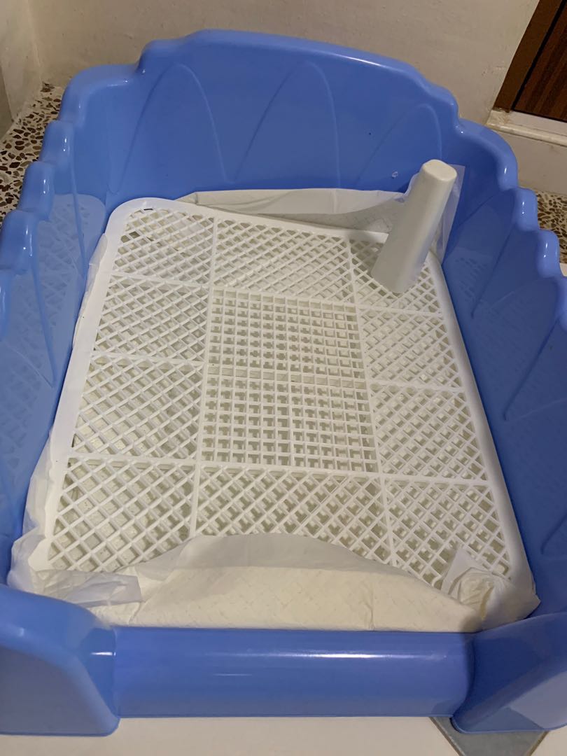 Dog pee tray with pole and walls, Pet Supplies, Homes & Other Pet