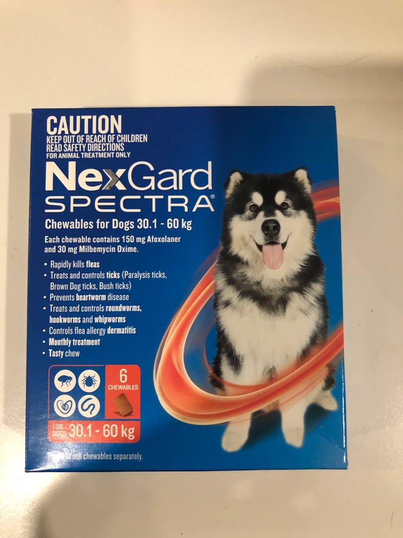 Nexgard spectra online large 6 pack