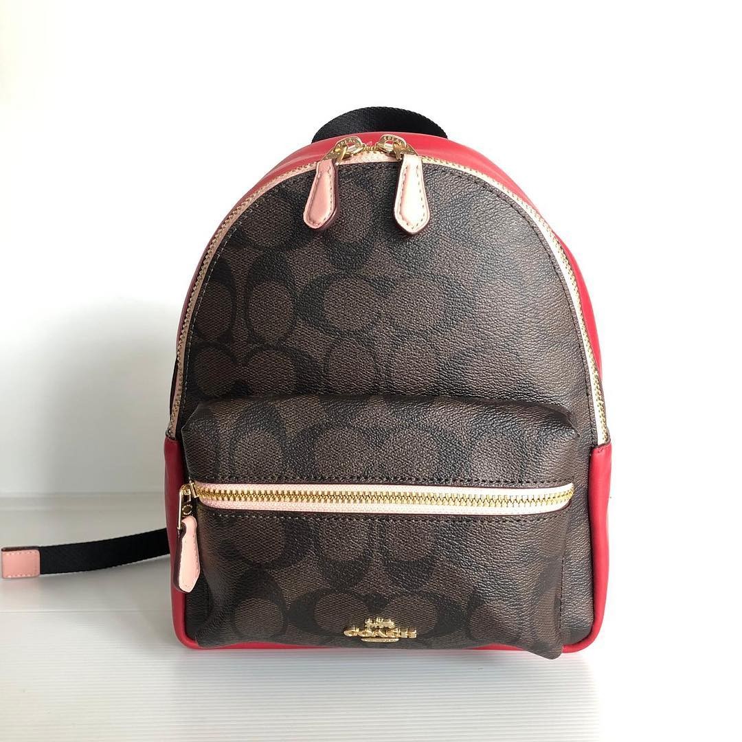Coach F68094 mini charlie backpack sign brown multi size 20 x 24 cm
