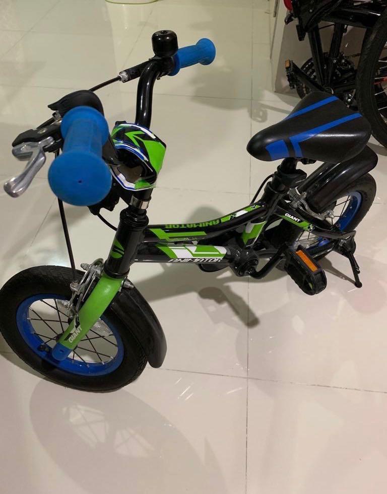 Giant Animator 12 Kids bike Sports Equipment Bicycles Parts Bicycles on Carousell