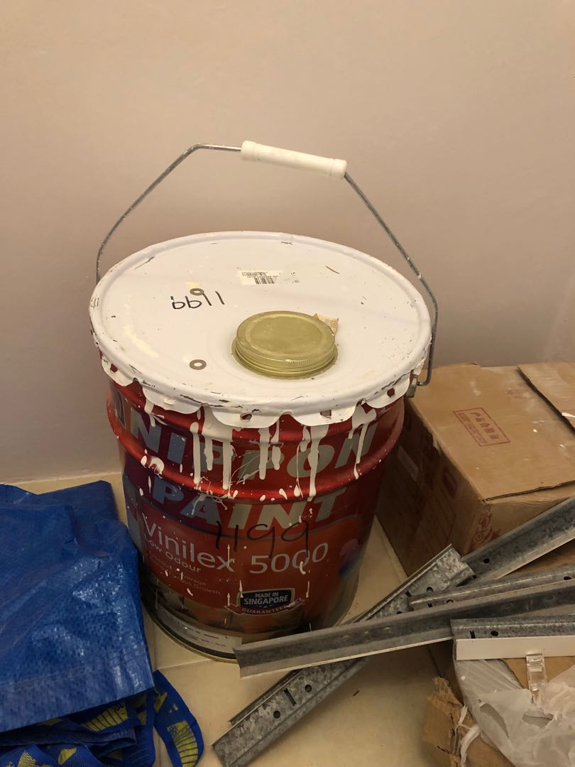 Nippon v5000 paint,color 1199 sail white, 10L, Furniture & Home Living