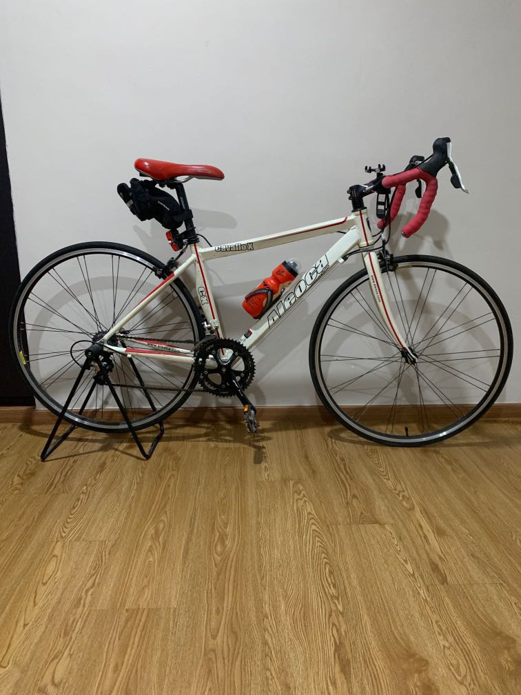 Aleoca road shop bike