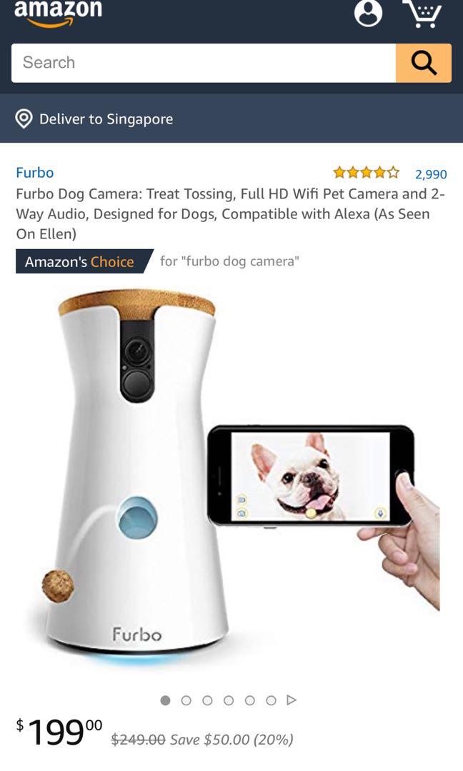 Ellen dog camera new arrivals