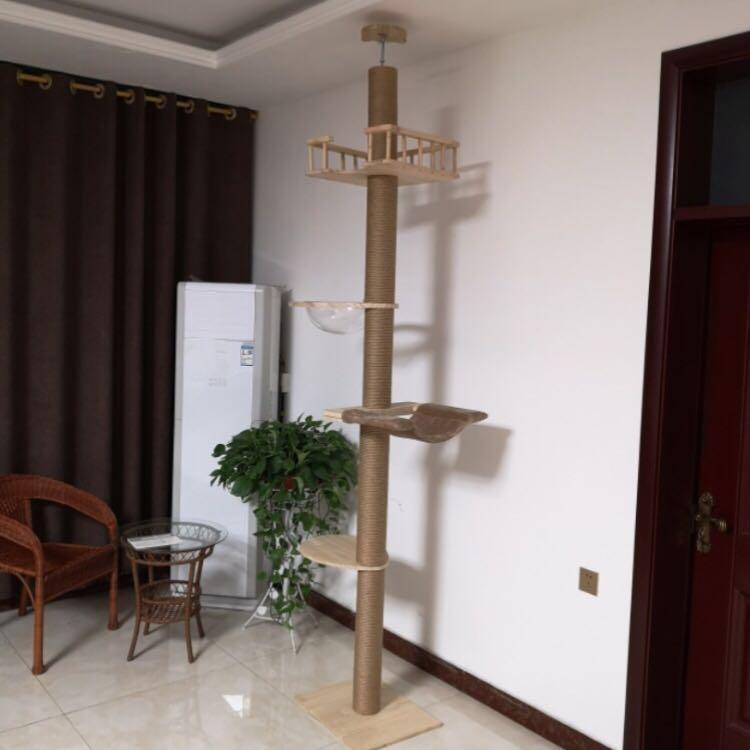 (New!) ceiling cat tree condo spaceship bowl hammock bed scratch pole