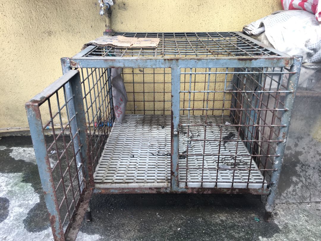 rusty dog crate