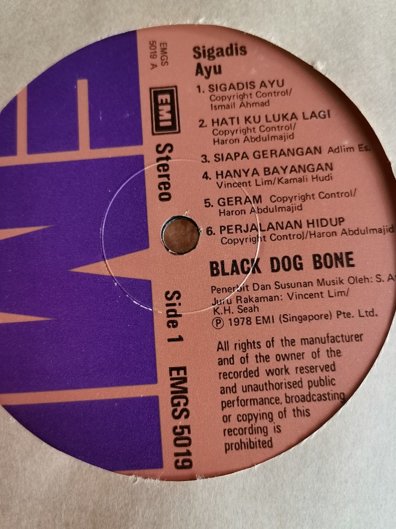 Black Dog Bone Vinyl Record Lp No Cover Hobbies Toys Music Media Vinyls On Carousell