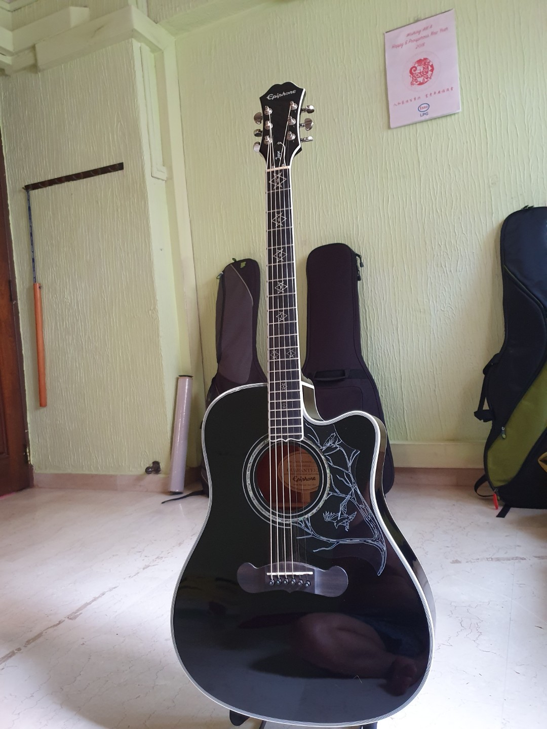 Epiphone Dave Navarro