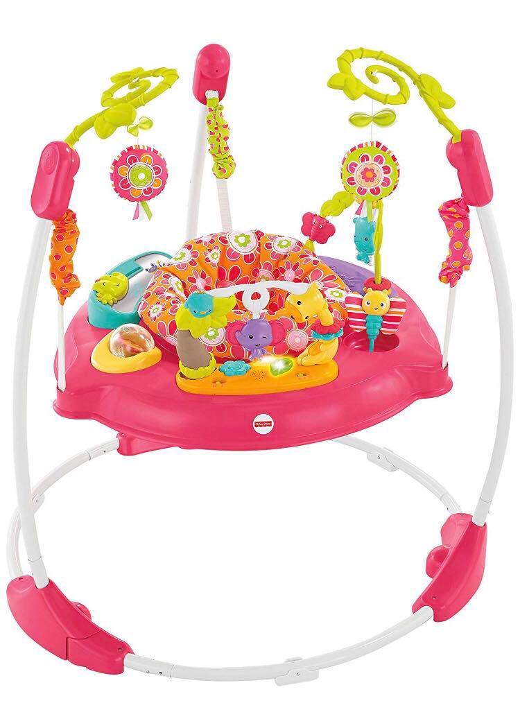 fisher price skip hop