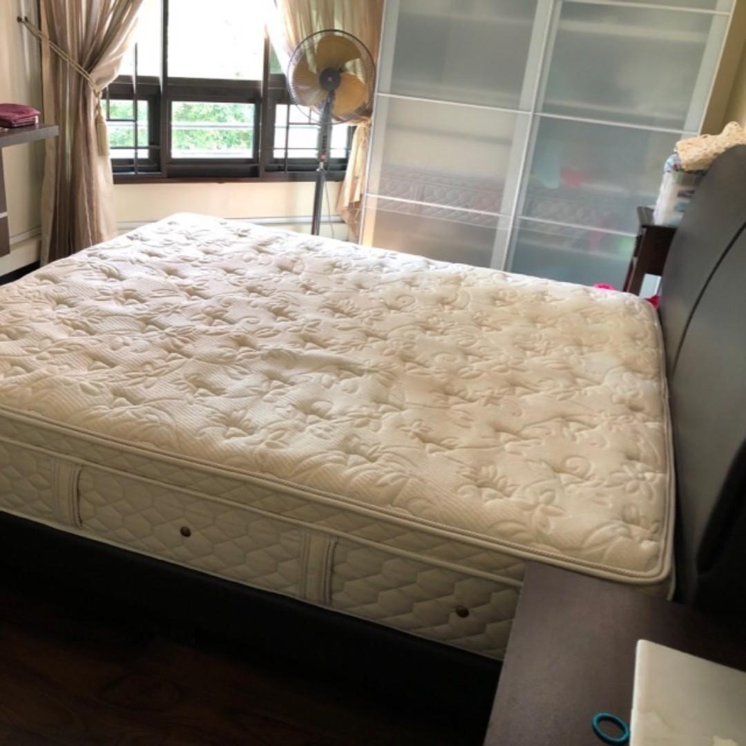 High End King Size Sealy Mattress No Bed Frame Furniture Beds