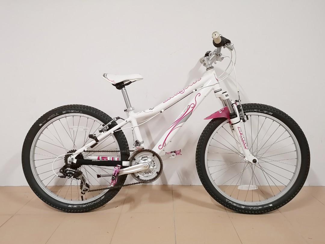 Mongoose rockadile 24 hotsell 2019