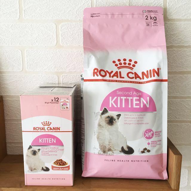 Instock Royal Canin Kitten Wet And Dry Food Set Pet Supplies For Cats Cat Food On Carousell