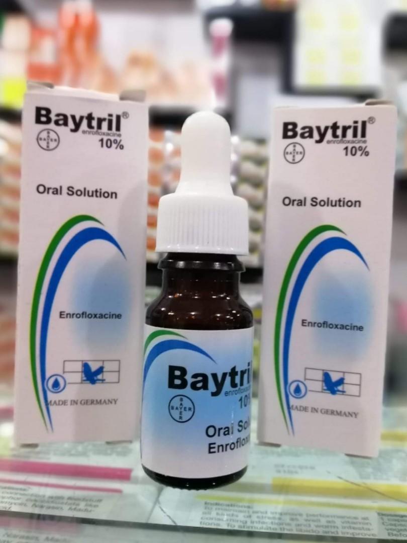 Looking For Baytril Pet Supplies For Birds Bird Food On Carousell Looking For Baytril Pet Supplies For Birds Bird Food On Carousell