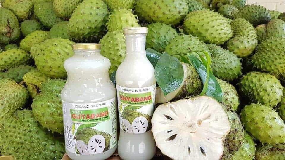 Organic Guyabano Juice Health Nutrition Health Supplements Health Food Drinks Tonics On Carousell Organic Guyabano Juice Health Nutrition Health Supplements Health Food Drinks Tonics On Carousell
